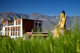 Valley of Flowers (Nubra Valley)